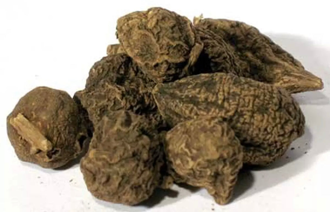 High John Root