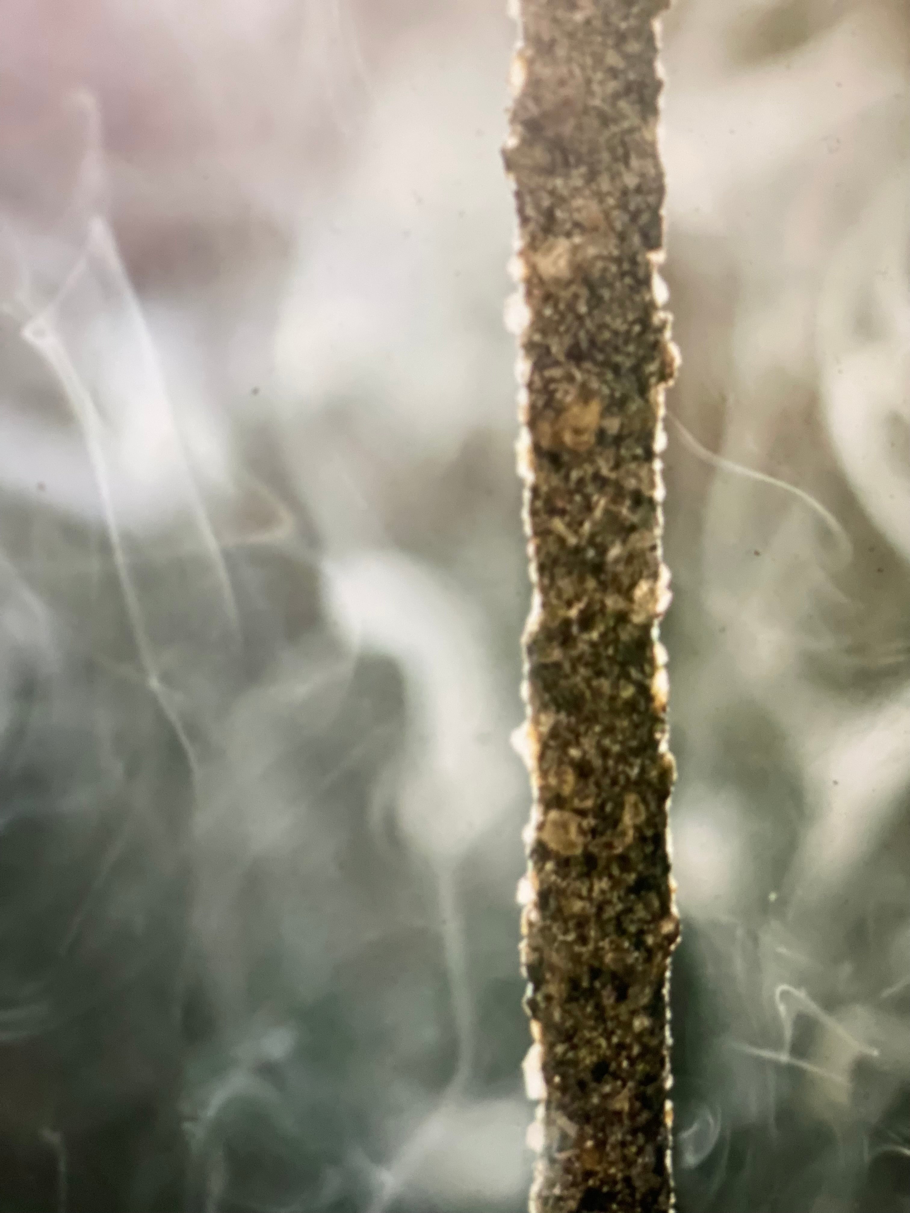 Handmade Rolled Incense