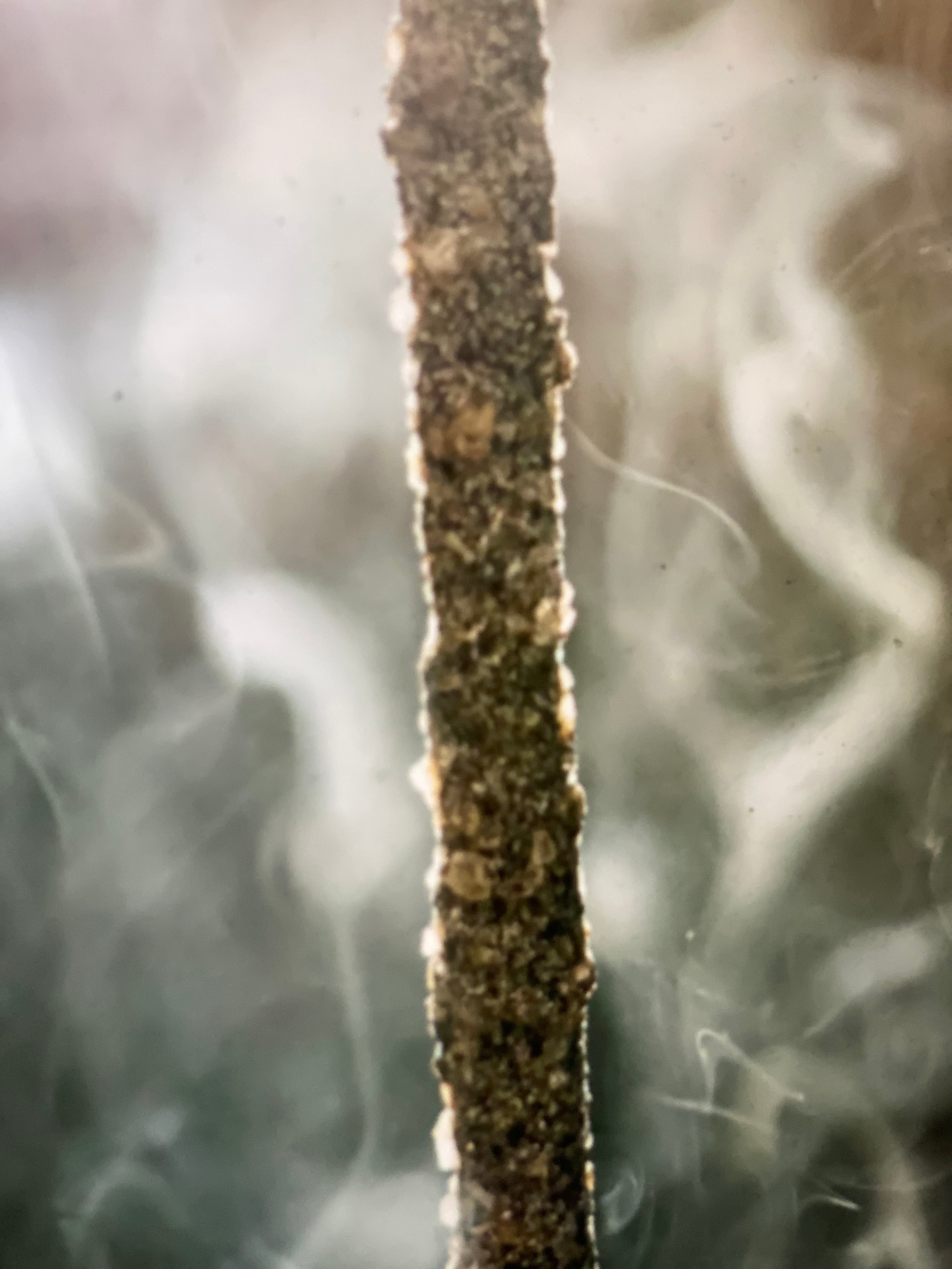 Handmade Rolled Incense