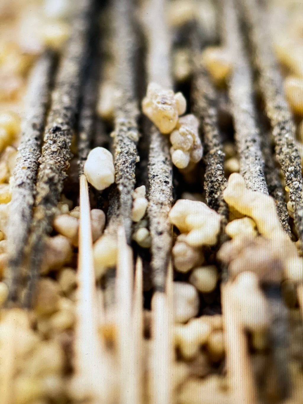 Handmade Rolled Incense