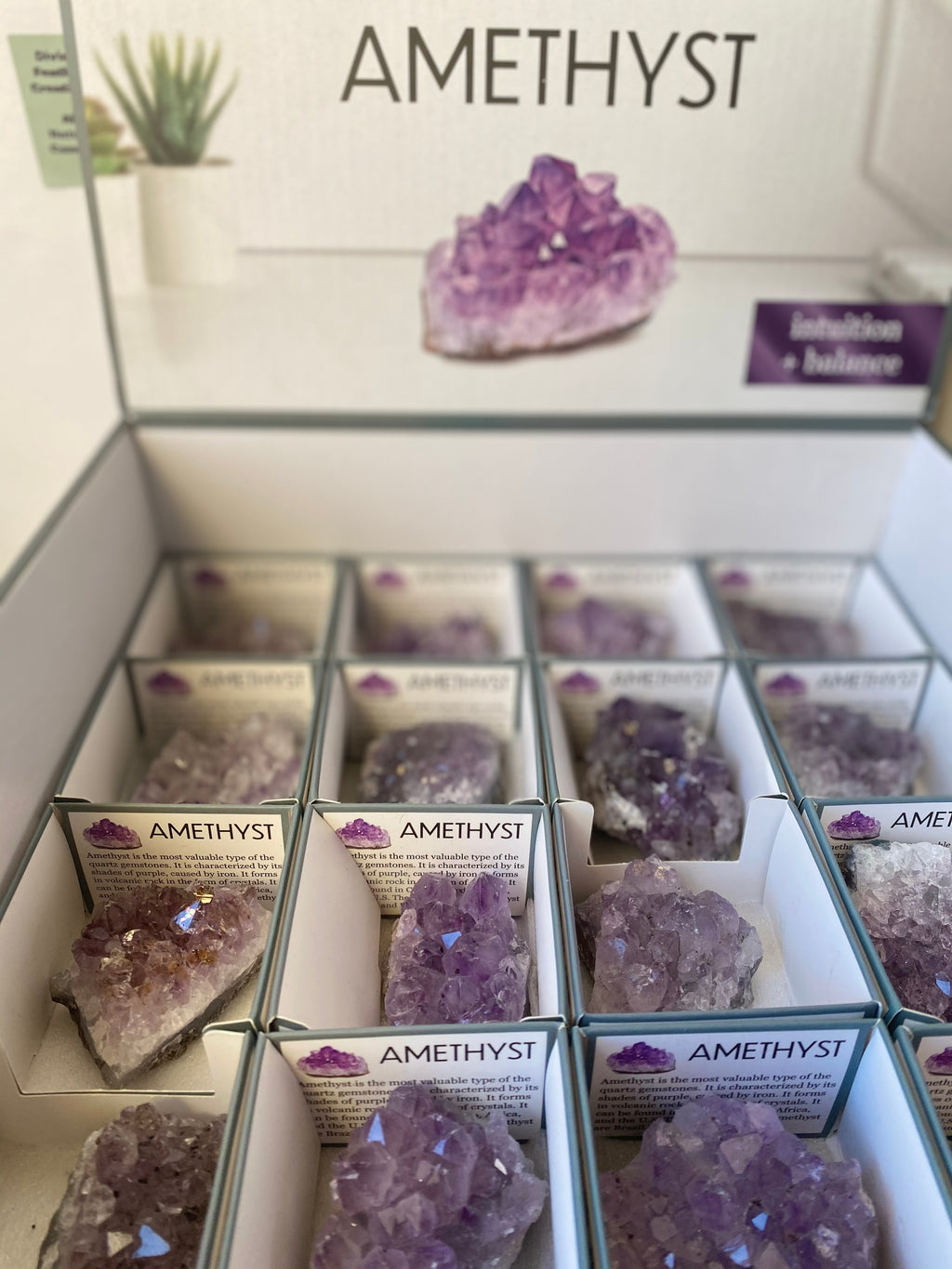 Raw Amethyst Cluster Crystal