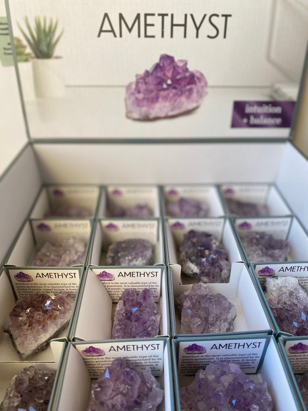 Raw Amethyst Cluster Crystal