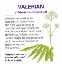 Load image into Gallery viewer, Valerian Root Dried Cut 100% Premium / Raíz de Valeriana
