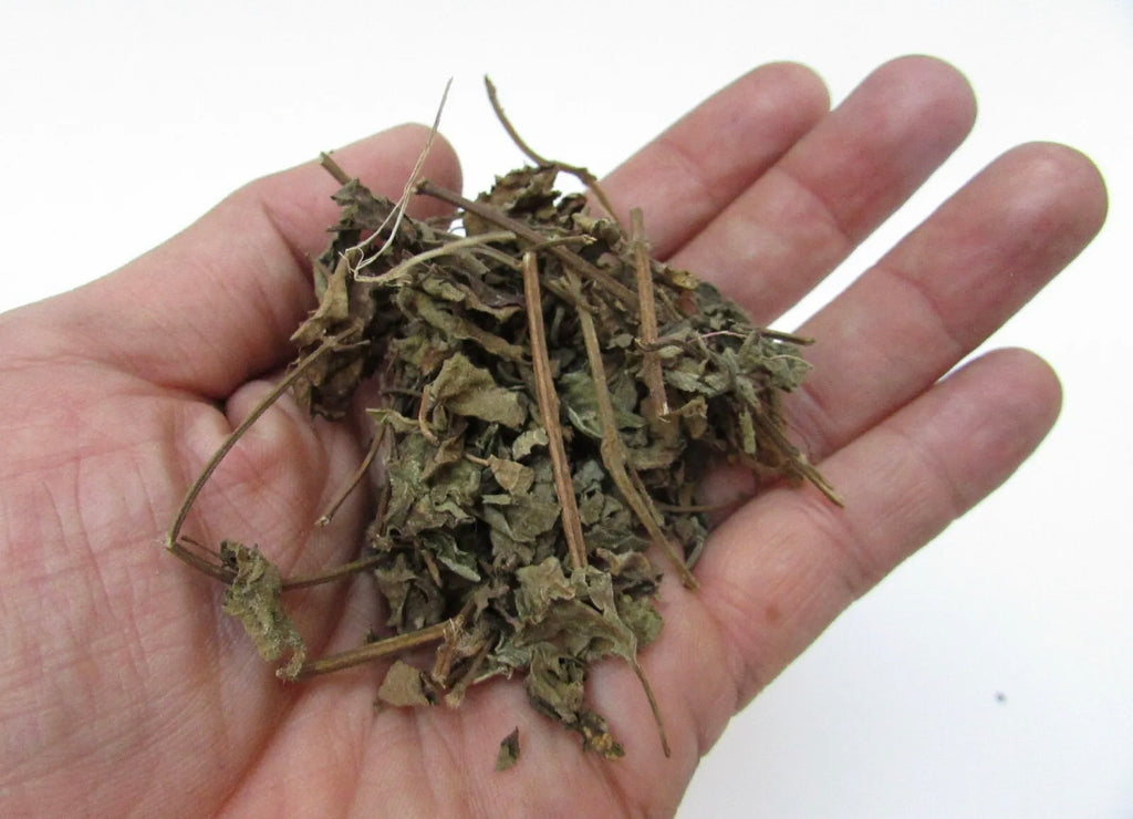 MANDRAKE ROOT AUTHENTIC WICCAN, RITUAL, SPELLS / RAIZ DE MANDRAGORA