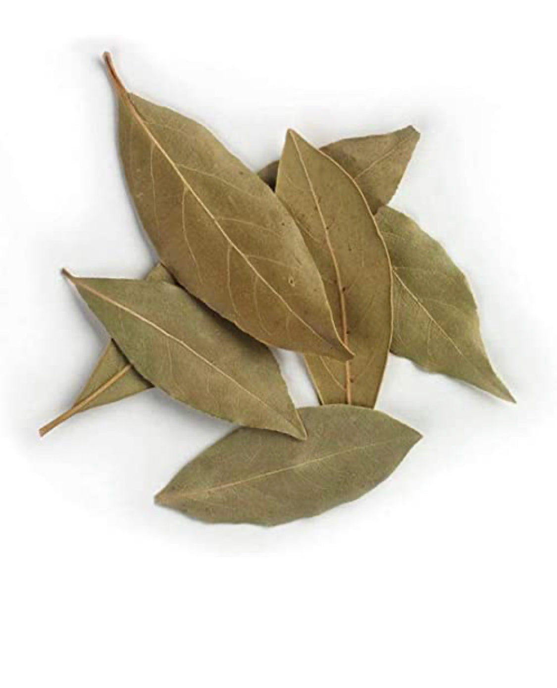 Bay leaf